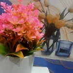 Apartament Casa Dei Fiori *