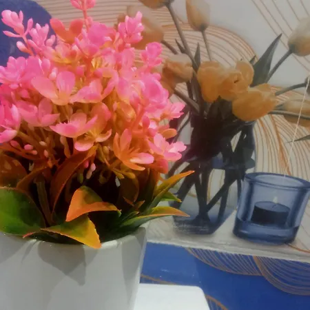 شقة Casa Dei Fiori *